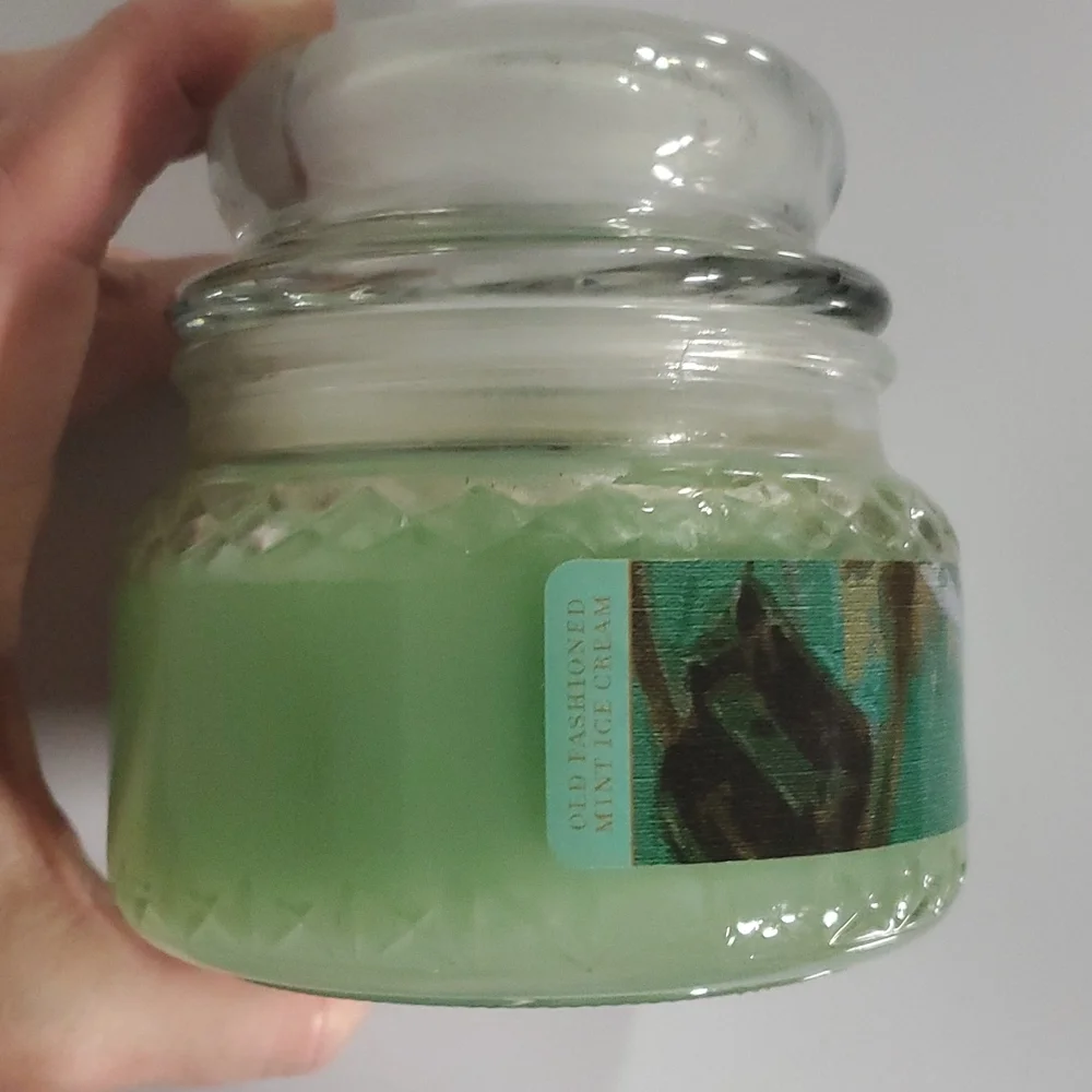 OLD FASHIONED MINT ICE CREAM small/8 oz Gold Canyon‎ two-wick candle